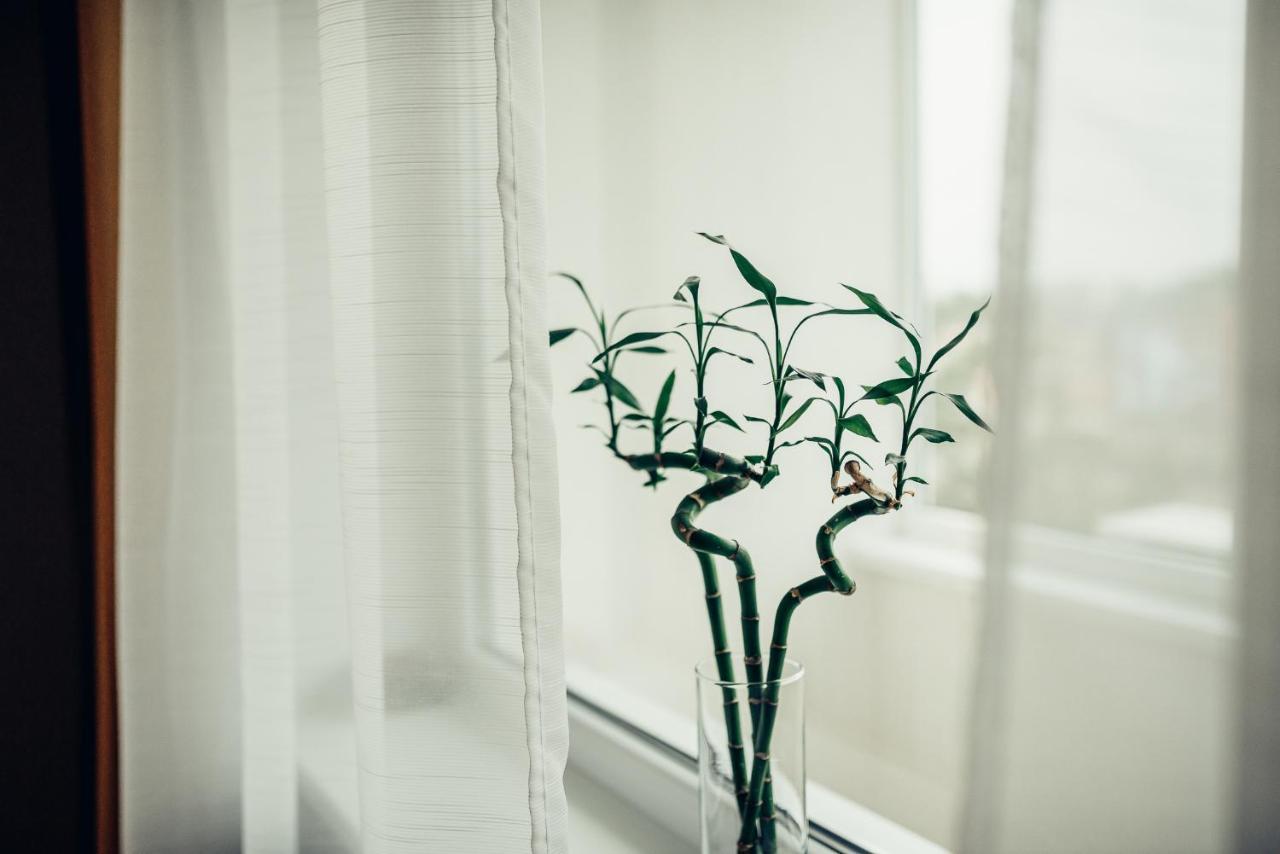 Pine Apartment ヴィサギナス エクステリア 写真