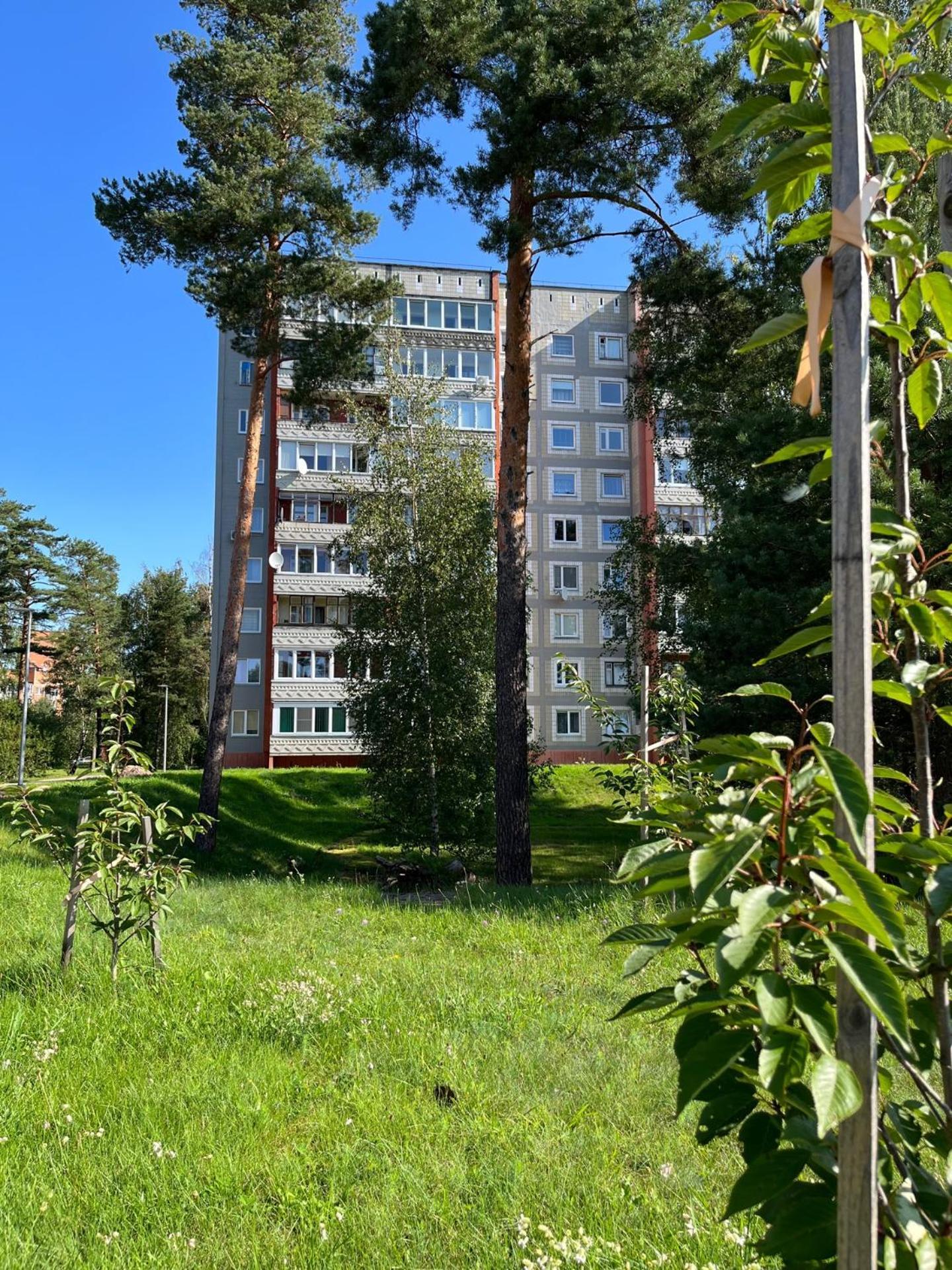 Pine Apartment ヴィサギナス エクステリア 写真