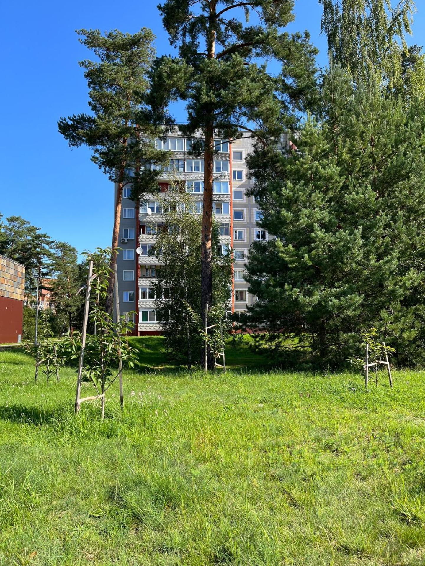 Pine Apartment ヴィサギナス エクステリア 写真
